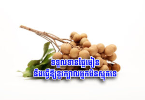 Read more about the article ទទួលទានផ្លែ​មៀន នឹង​ធ្វើ​ឱ្យ​ខួរក្បាល​អ្នក​មិន​ស្មុគ​ទេ